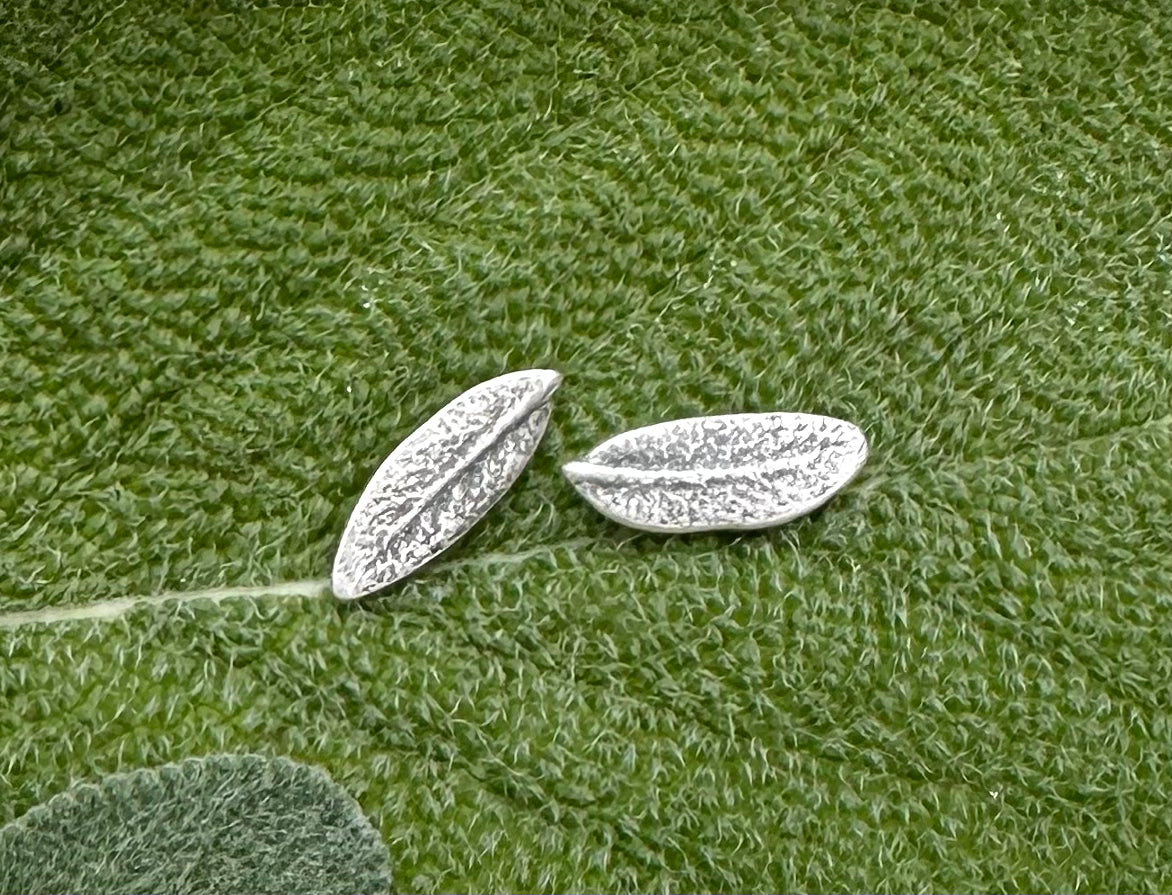 Mini Sage Leaves